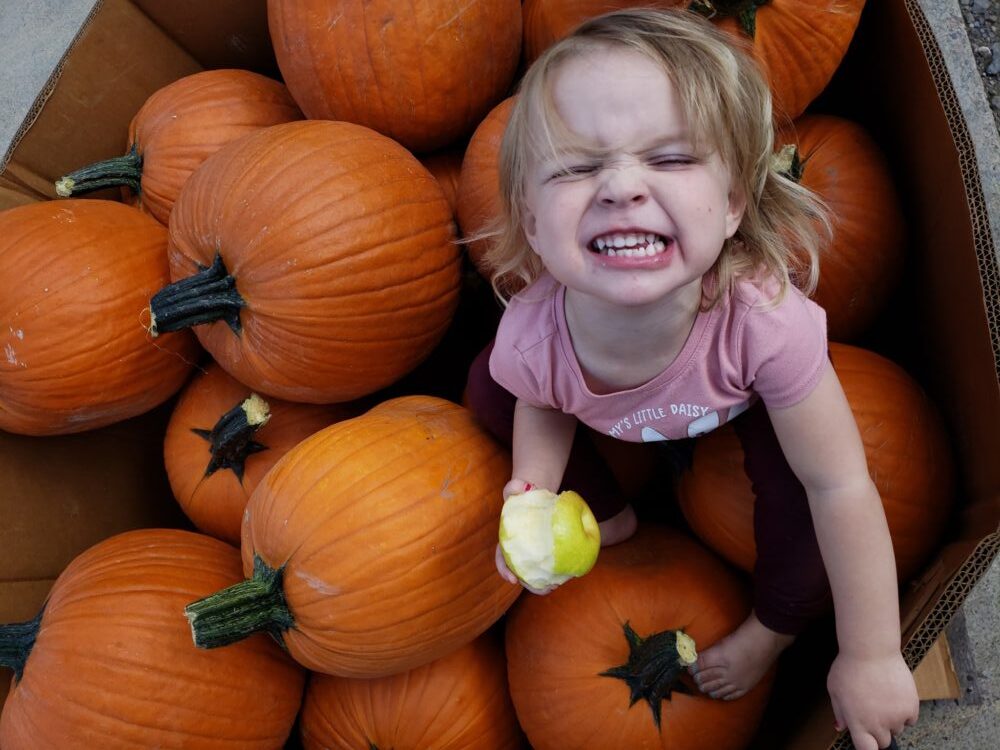 Girl eating apples on pile of pumpkins