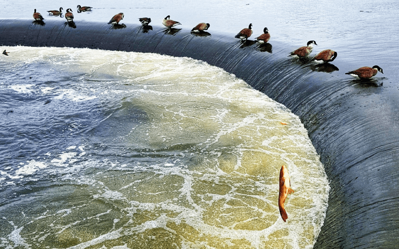 Pymatuning Spillway Linesville PA